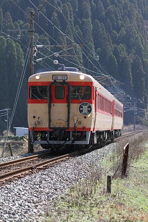 復活急行しいば号