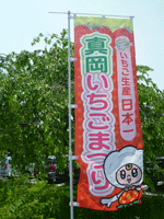 いちごまつり