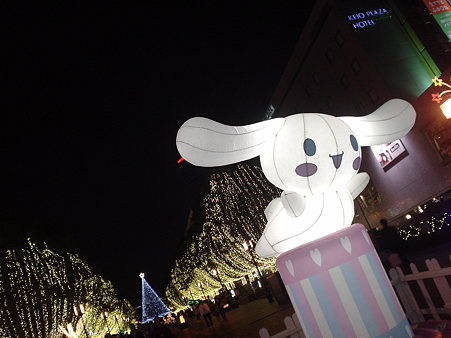 DSC01207