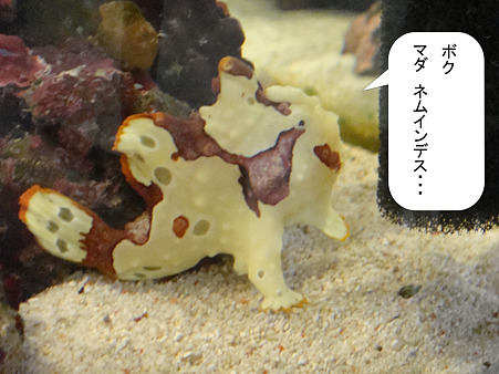 idlers12耐 2度目の練習-5