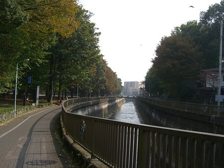 CIMG5721