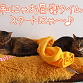 100310-【猫アニメ】平和にゃお昼寝タイムにゃ！