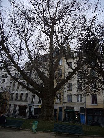P2360716