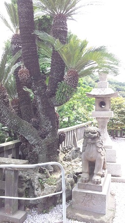 同じく「阿形(あぎょう)」