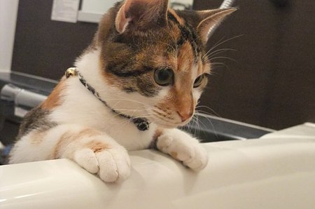 2010022205