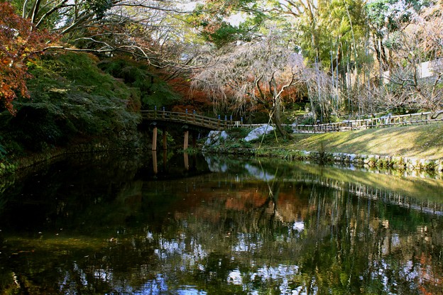 浜松城公園の紅葉 ２００９年 写真共有サイト フォト蔵