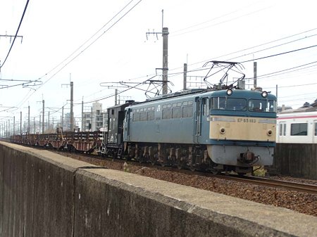 DSCN9941