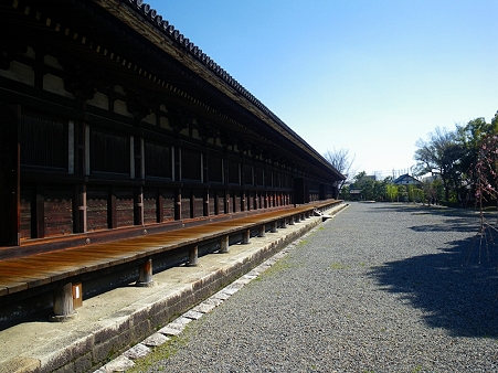 IMGP2159