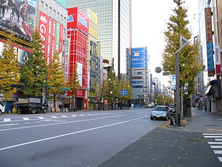 2009.12.19 秋葉原(2/8)