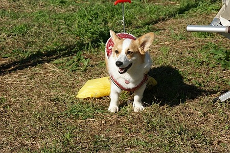 DSC03494