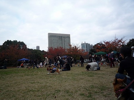 DSC03887