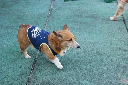 DSC04206