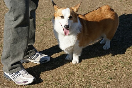 DSC05559