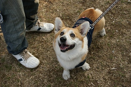DSC05695