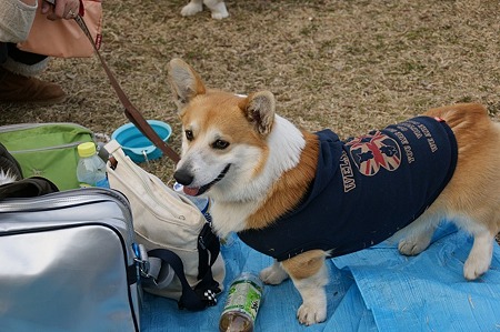 DSC05705