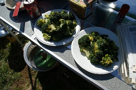 DSC05790