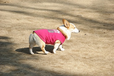 DSC06100