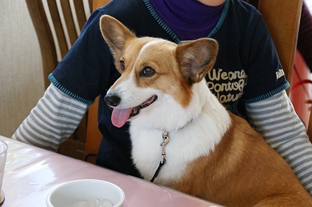DSC05303
