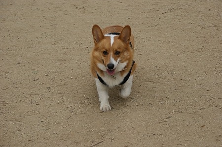 DSC09024