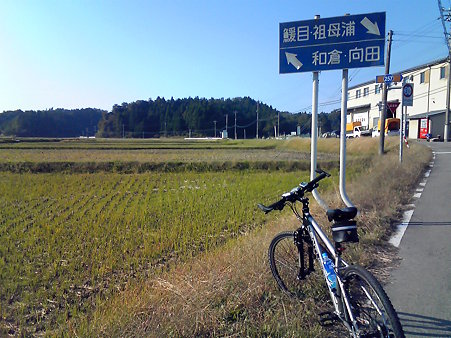 ラン010
