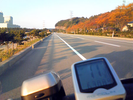 ラン013