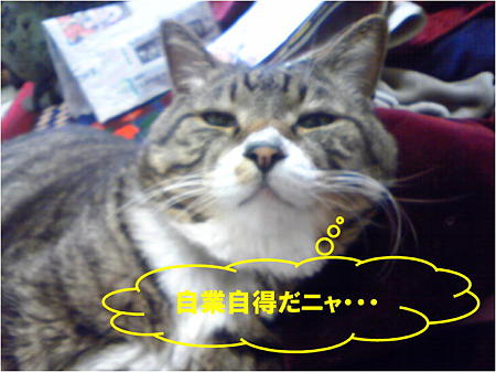 新しい画像 (8)