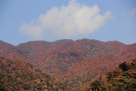 P01阿賀野市