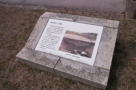Yayoi_Park03042012dp1-01