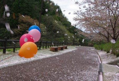 IMGP3547_0421