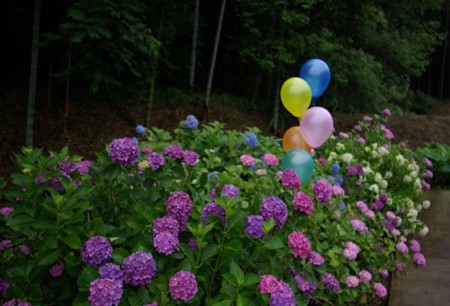 IMGP0029_0617