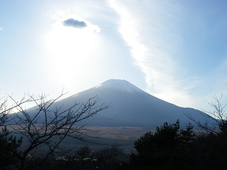 IMGP3951