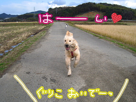 PIC00014