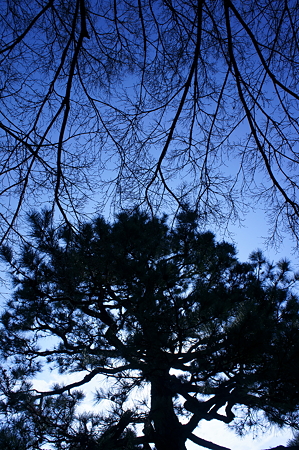 冬空