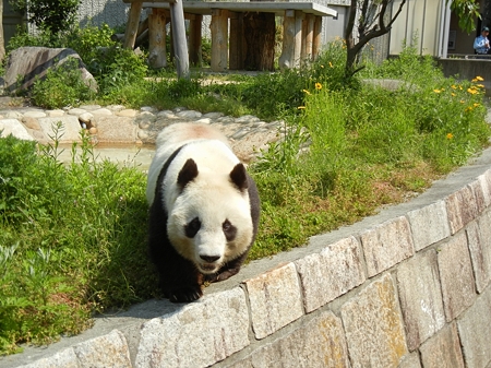 DSCN2479