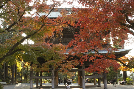 紅葉の三門