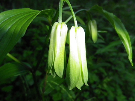 IMGP0103