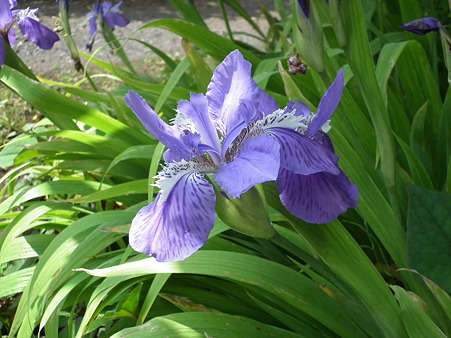 DSCF0078