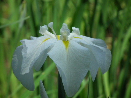 DSCF0013