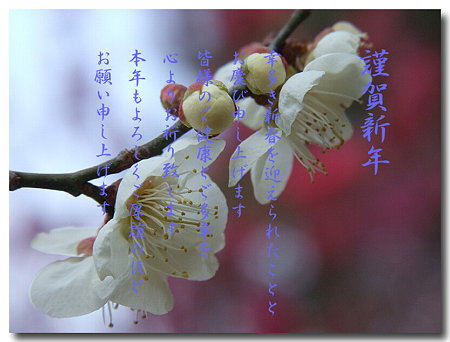 年賀23