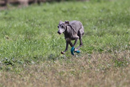 IMG_7986