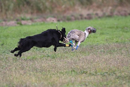 IMG_8501