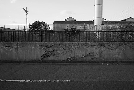 oh_kawa090101003