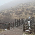 Photos: 仙酔峡尾根コースは花酔い橋を渡ります
