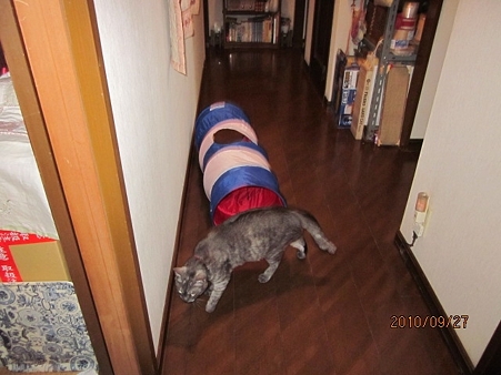 IMG_9187se