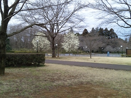 DVC00007