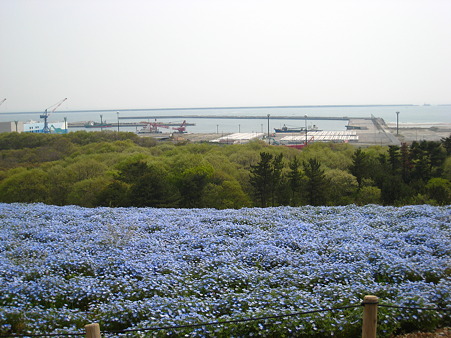 丘の上