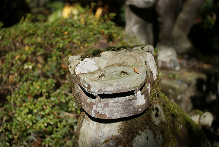 長安寺 狛犬