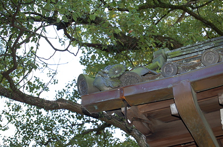 青蓮院