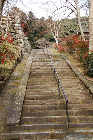 奈良菩提山 正暦寺