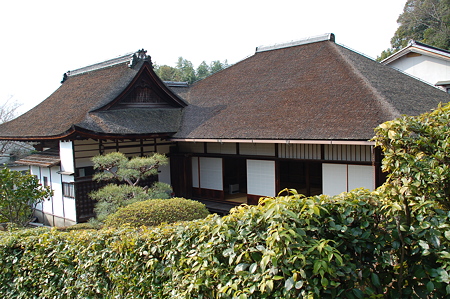 奈良佐保路 興福院DSC_0761